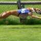 Greyhound_Racing-nsw