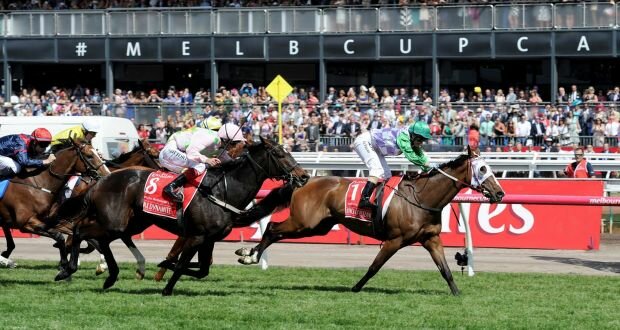 Melbourne Cup Horse Racing 2016